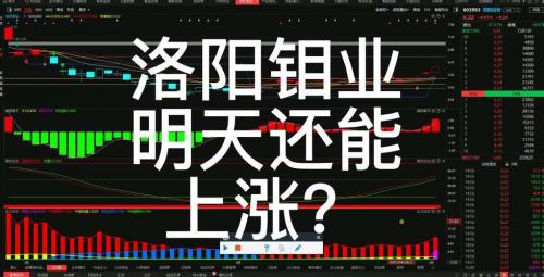 洛阳钼业股票能长期持有吗-洛阳钼业持股变化-第2张图片 洛阳钼业股票能长期持有吗-洛阳钼业持股变化-第2张图片