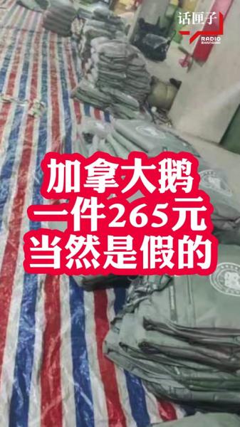 加拿大鹅被刀了会怎么样/加拿大鹅被压扁了-第1张图片 加拿大鹅被刀了会怎么样/加拿大鹅被压扁了-第1张图片