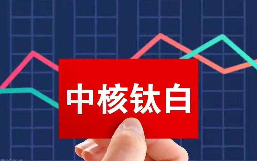 中核钛白为什么会跌/中核钛白为什么会破产-第7张图片 中核钛白为什么会跌/中核钛白为什么会破产-第7张图片