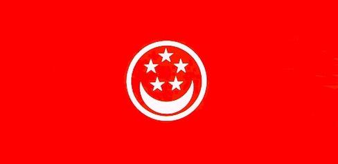 新加坡的国旗是什么样的-新加坡的国旗是什么颜色的呢-第3张图片 新加坡的国旗是什么样的-新加坡的国旗是什么颜色的呢-第3张图片