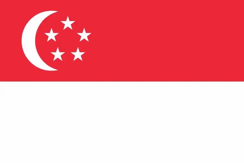 新加坡的国旗是什么样的-新加坡的国旗是什么颜色的呢-第5张图片 新加坡的国旗是什么样的-新加坡的国旗是什么颜色的呢-第5张图片