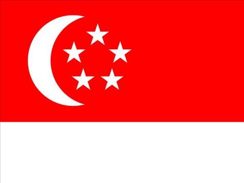新加坡的国旗是什么样的-新加坡的国旗是什么颜色的呢-第8张图片 新加坡的国旗是什么样的-新加坡的国旗是什么颜色的呢-第8张图片