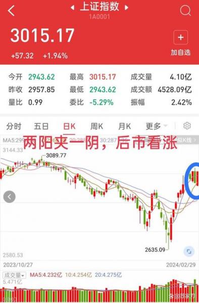600191华资实业会退市吗-华资实业为啥停牌-第1张图片 600191华资实业会退市吗-华资实业为啥停牌-第1张图片
