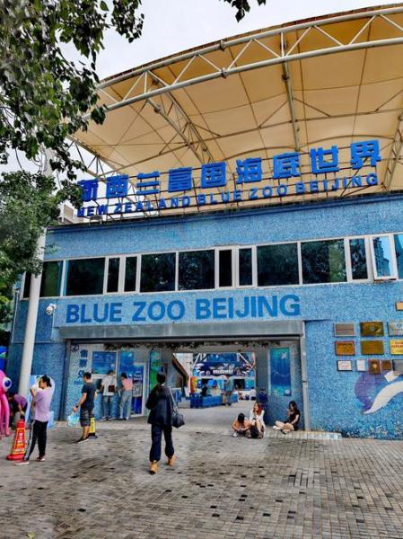 富国海底世界是几a-富国海底世界哪年开的-第4张图片 富国海底世界是几a-富国海底世界哪年开的-第4张图片