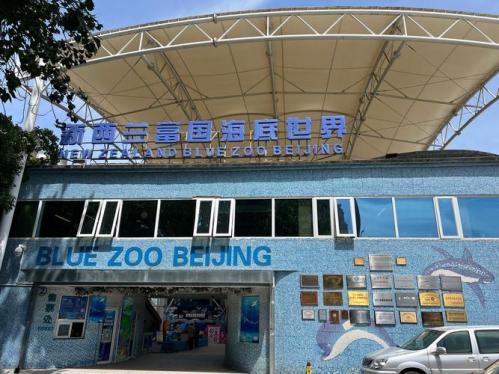富国海底世界是几a-富国海底世界哪年开的-第5张图片 富国海底世界是几a-富国海底世界哪年开的-第5张图片