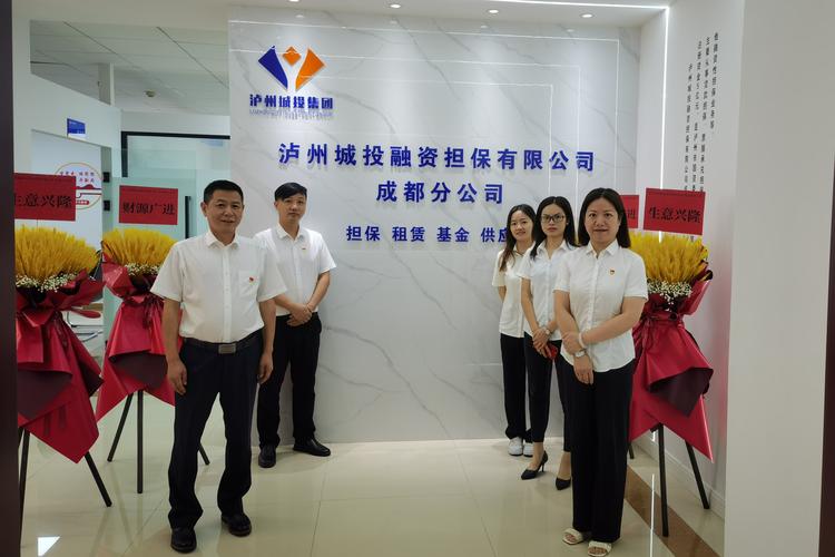 中国前十融资担保公司/全国融资性担保公司排名-第3张图片 中国前十融资担保公司/全国融资性担保公司排名-第3张图片