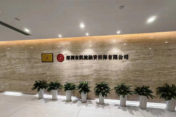中国前十融资担保公司/全国融资性担保公司排名-第7张图片 中国前十融资担保公司/全国融资性担保公司排名-第7张图片