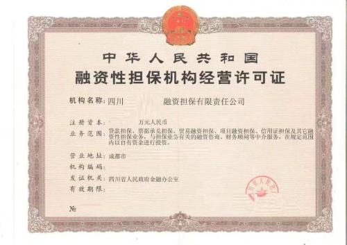 中国前十融资担保公司/全国融资性担保公司排名-第8张图片 中国前十融资担保公司/全国融资性担保公司排名-第8张图片