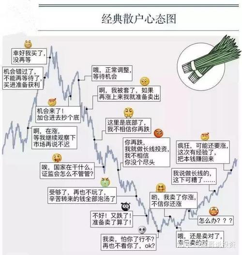 基金历史估值百分位怎么查-第6张图片 基金历史估值百分位怎么查-第6张图片