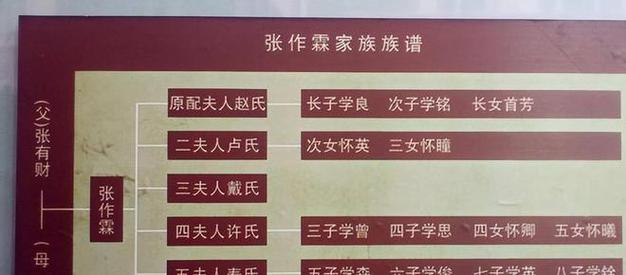 张首芳有子女吗-第3张图片 张首芳有子女吗-第3张图片