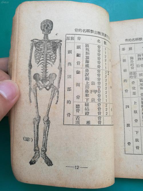 解禁什么意思?,限售解禁什么意思-第1张图片 解禁什么意思?,限售解禁什么意思-第1张图片