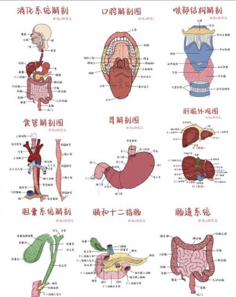 解禁什么意思?,限售解禁什么意思-第3张图片 解禁什么意思?,限售解禁什么意思-第3张图片