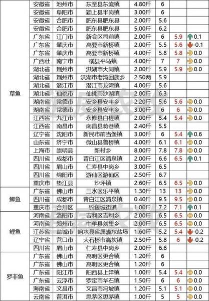 10公分小金龙鱼多少钱,金龙鱼15公分多少钱-第4张图片 10公分小金龙鱼多少钱,金龙鱼15公分多少钱-第4张图片