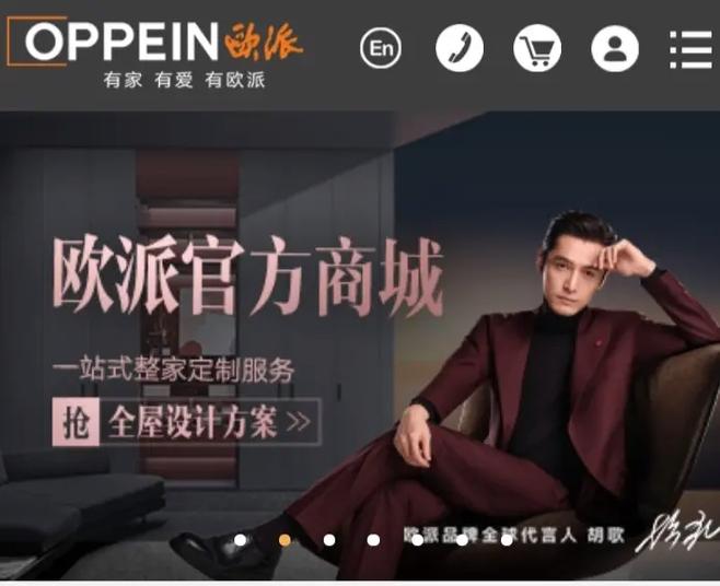 欧派是什么意思-欧派是什么意思视频-第6张图片 欧派是什么意思-欧派是什么意思视频-第6张图片