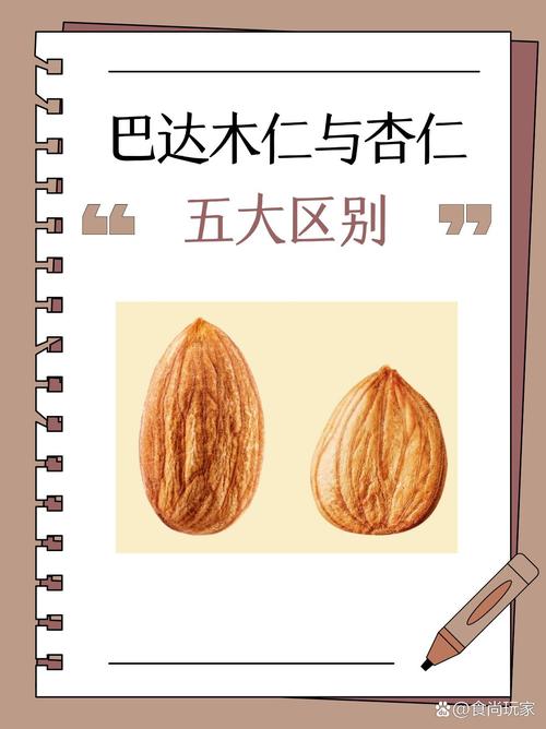 杏仁果皮是什么-杏仁的皮能吃吗?-第3张图片 杏仁果皮是什么-杏仁的皮能吃吗?-第3张图片