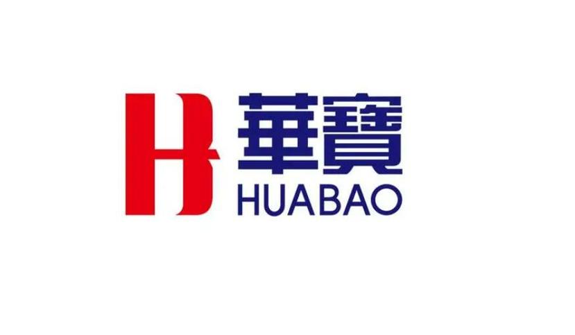 华宝新能属于什么行业/华宝新能源 招股书-第5张图片 华宝新能属于什么行业/华宝新能源 招股书-第5张图片