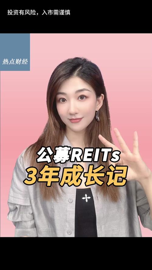 嘉实成长增强净值/嘉实成长收益基金净值查询-第4张图片 嘉实成长增强净值/嘉实成长收益基金净值查询-第4张图片