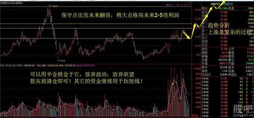 仙鹤股份上市价及走势,仙鹤股份的股价-第5张图片 仙鹤股份上市价及走势,仙鹤股份的股价-第5张图片