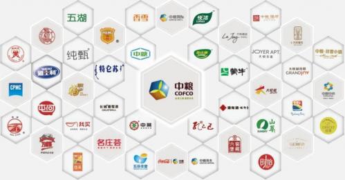 国投中鲁是干什么的/国投中鲁公司-第3张图片 国投中鲁是干什么的/国投中鲁公司-第3张图片
