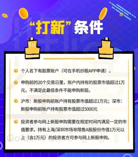 新股认购的条件/新股认购什么意思-第6张图片 新股认购的条件/新股认购什么意思-第6张图片