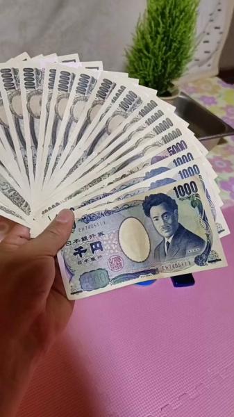 2000000日元换多少人,200000日元换算人民币-第3张图片 2000000日元换多少人,200000日元换算人民币-第3张图片