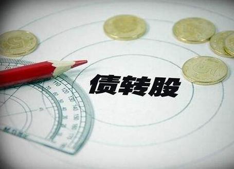 打新债转股是什么意思,打新债转股好吗-第4张图片 打新债转股是什么意思,打新债转股好吗-第4张图片