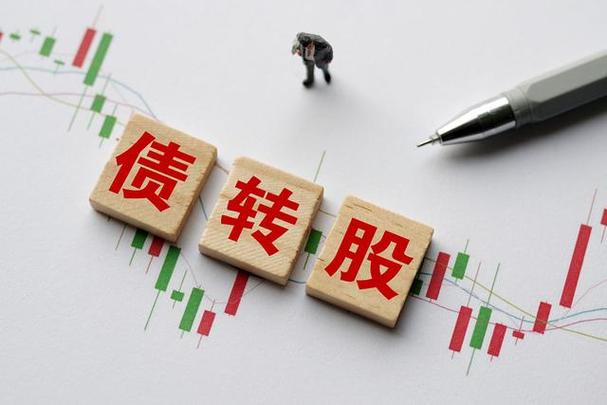 打新债转股是什么意思,打新债转股好吗-第7张图片 打新债转股是什么意思,打新债转股好吗-第7张图片