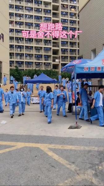同洲电子有限公司怎么样-同洲电子地址