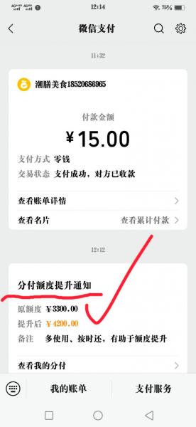 分付怎样提高额度-第4张图片 分付怎样提高额度-第4张图片