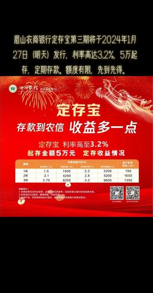 定存宝是什么意思