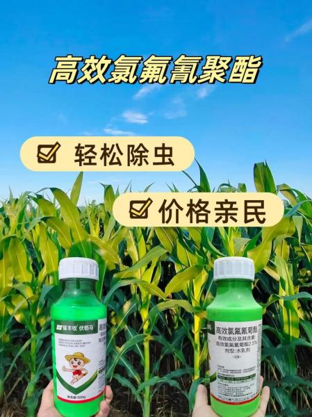 钱江生化是龙头企业吗/钱江生化股份-第6张图片 钱江生化是龙头企业吗/钱江生化股份-第6张图片