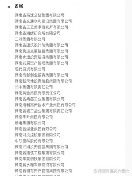 常德中联重科是国企吗-第3张图片 常德中联重科是国企吗-第3张图片