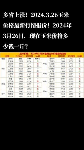 宁夏玉米费用最新行情2021年/宁夏玉米费用多少钱一斤2020-第2张图片 宁夏玉米费用最新行情2021年/宁夏玉米费用多少钱一斤2020-第2张图片