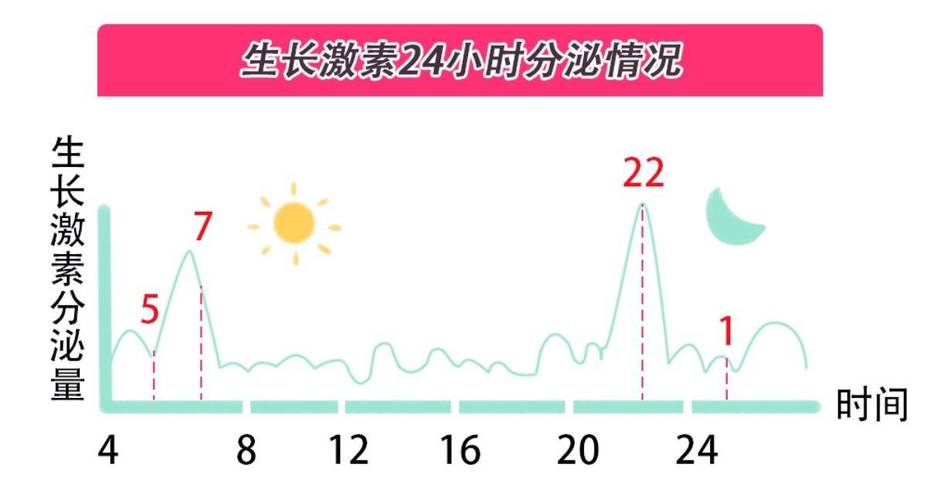 050004基金6月9日净值