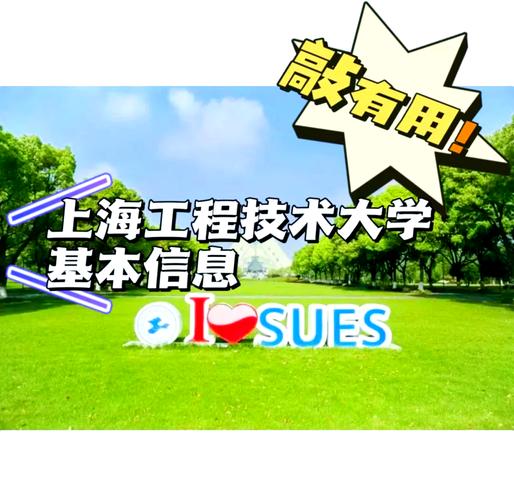 上海机电学院毕业后去哪找工作/上海机电学院咋样-第1张图片 上海机电学院毕业后去哪找工作/上海机电学院咋样-第1张图片