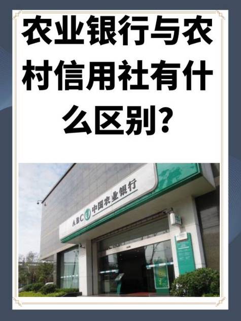 农业农信是一个银行吗-农信是否农业银行卡-第2张图片 农业农信是一个银行吗-农信是否农业银行卡-第2张图片