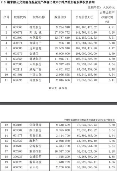 基金占比份额怎么查看/基金总份额哪里能看到-第5张图片 基金占比份额怎么查看/基金总份额哪里能看到-第5张图片
