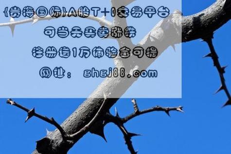 股票现量2千手指什么-股票 现手 现量区别-第3张图片 股票现量2千手指什么-股票 现手 现量区别-第3张图片