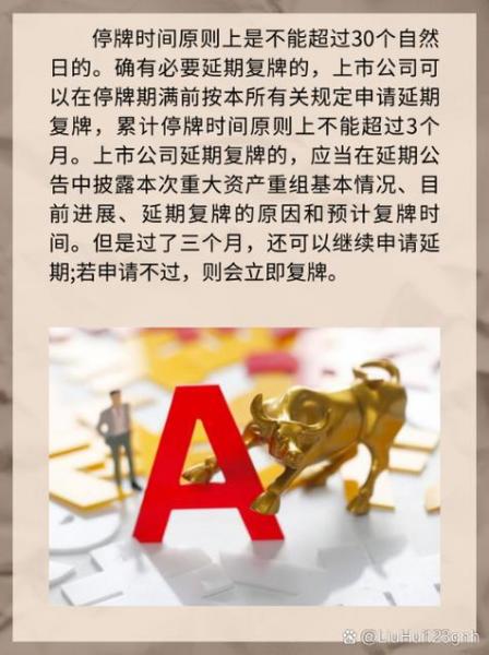 资产重组股票停牌一般多长时间-第5张图片 资产重组股票停牌一般多长时间-第5张图片
