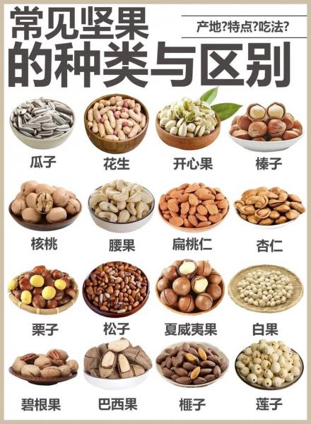 长生果是指什么坚果，长生果是哪种坚果