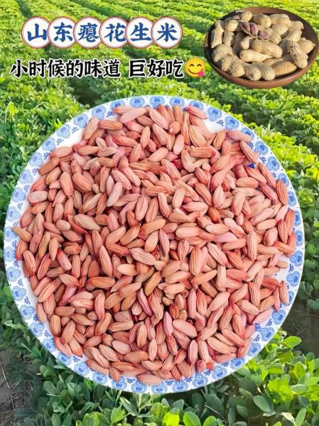 长生果是指什么坚果,长生果是哪种坚果-第2张图片 长生果是指什么坚果,长生果是哪种坚果-第2张图片
