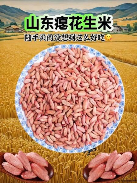 长生果是指什么坚果,长生果是哪种坚果-第3张图片 长生果是指什么坚果,长生果是哪种坚果-第3张图片