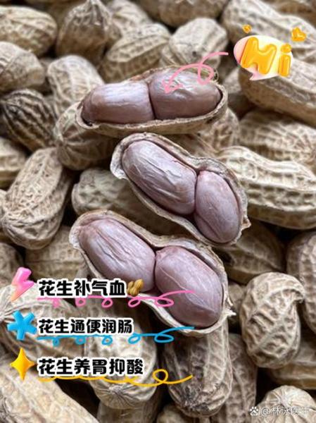 长生果是指什么坚果,长生果是哪种坚果-第6张图片 长生果是指什么坚果,长生果是哪种坚果-第6张图片