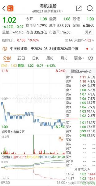 600221海航控股什么摘帽/海航控股重组股吧-第6张图片 600221海航控股什么摘帽/海航控股重组股吧-第6张图片