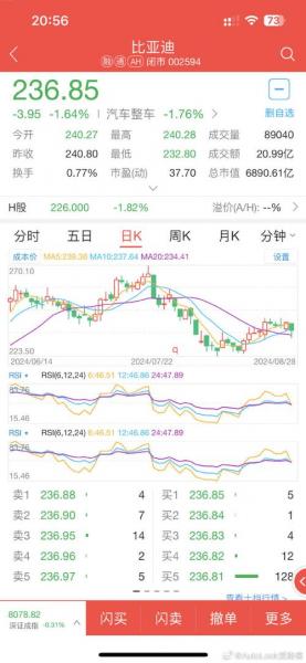 比亚迪股份股票历史行情,比亚迪汽车股票历史行情-第3张图片 比亚迪股份股票历史行情,比亚迪汽车股票历史行情-第3张图片