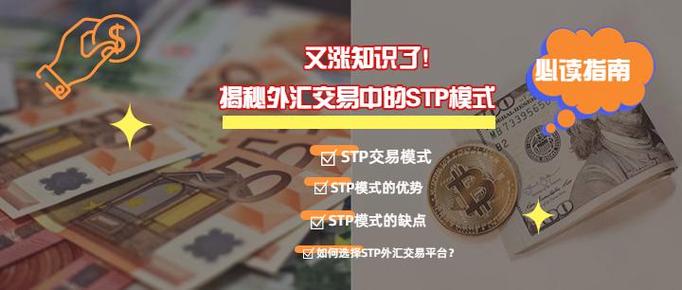 什么是外汇直通牌照stp,外汇交易 牌照-第3张图片 什么是外汇直通牌照stp,外汇交易 牌照-第3张图片